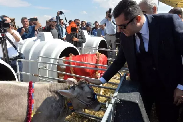 Erzurum'da Tarla Günü Şenlikleri düzenlendi Erzurum'da Tarla Günü Şenlikleri düzenlendi