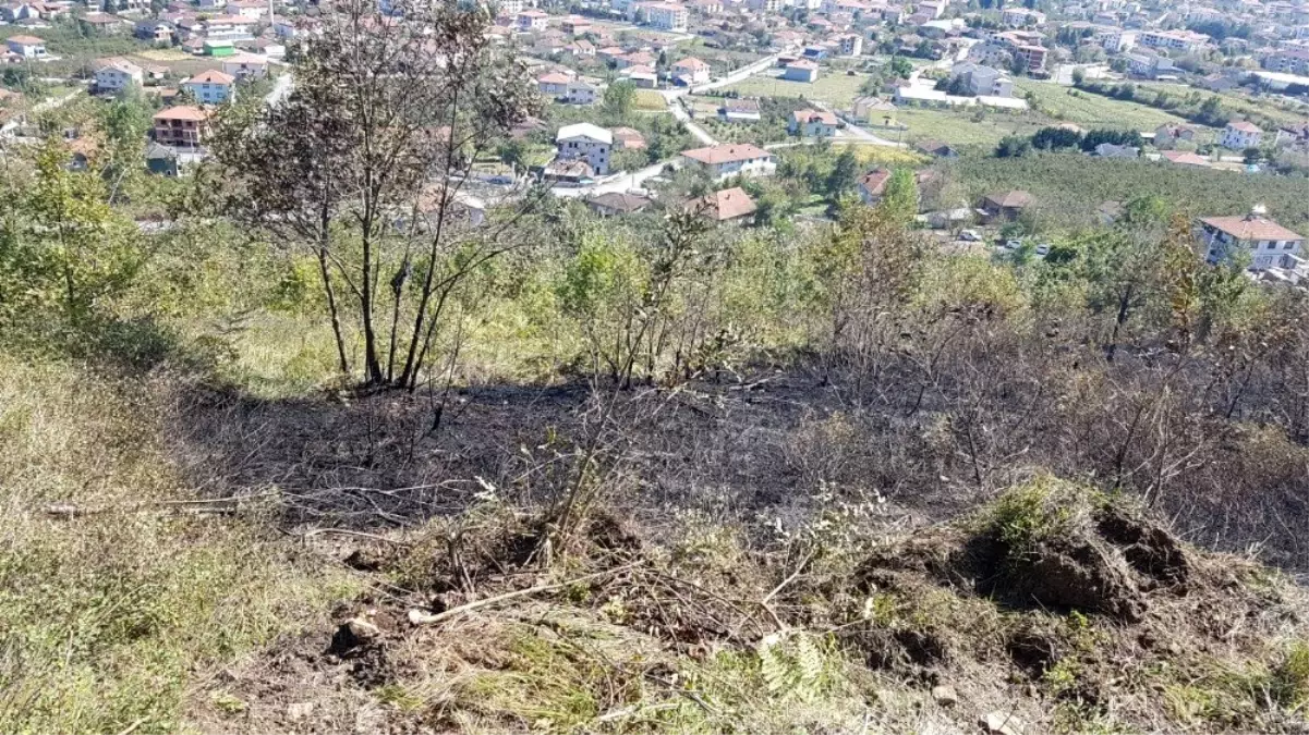 Fındıklık yangını anında müdahale ile söndürüldü