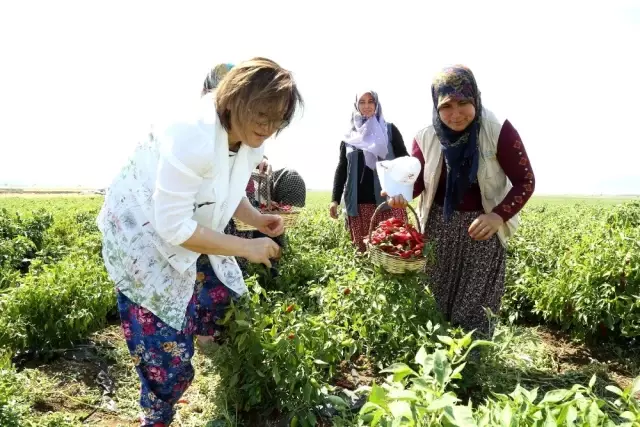 Gazikentte 1 milyon ziyaretçi lezzet kültür ve eğlenceyle buluştu Gazikentte 1 milyon ziyaretçi lezzet kültür ve eğlenceyle buluştu