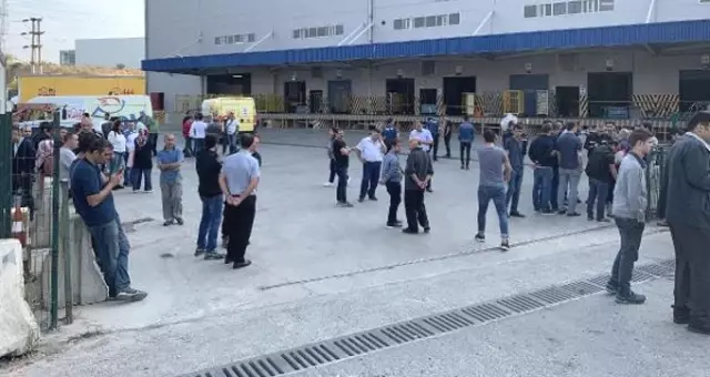 İstanbul Tuzla'da