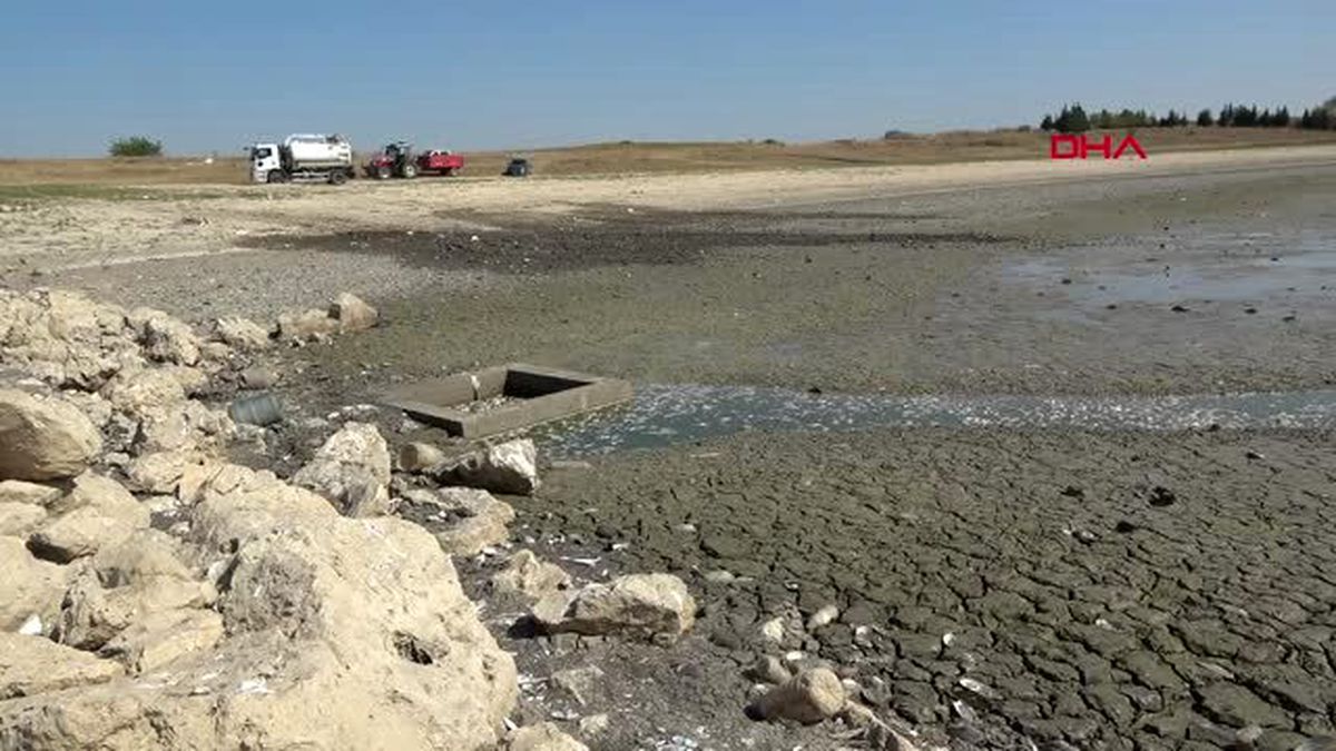 Kırklareli balıkların öldüğü oruçlu göleti'ne tankerle 170 ton su bırakıldı
