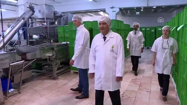 Organik tarıma EBRD desteği Organik tarıma EBRD desteği