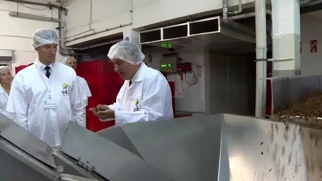 Organik tarıma EBRD desteği Organik tarıma EBRD desteği