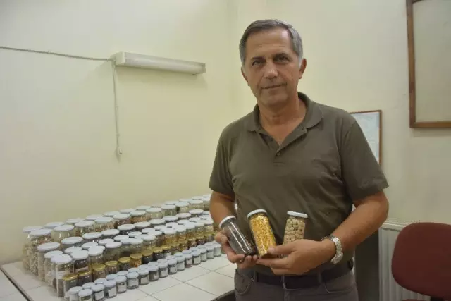 Uludağ Üniversitesi'nde yerli tohum seferberliği... Uludağ Üniversitesi'nde yerli tohum seferberliği...