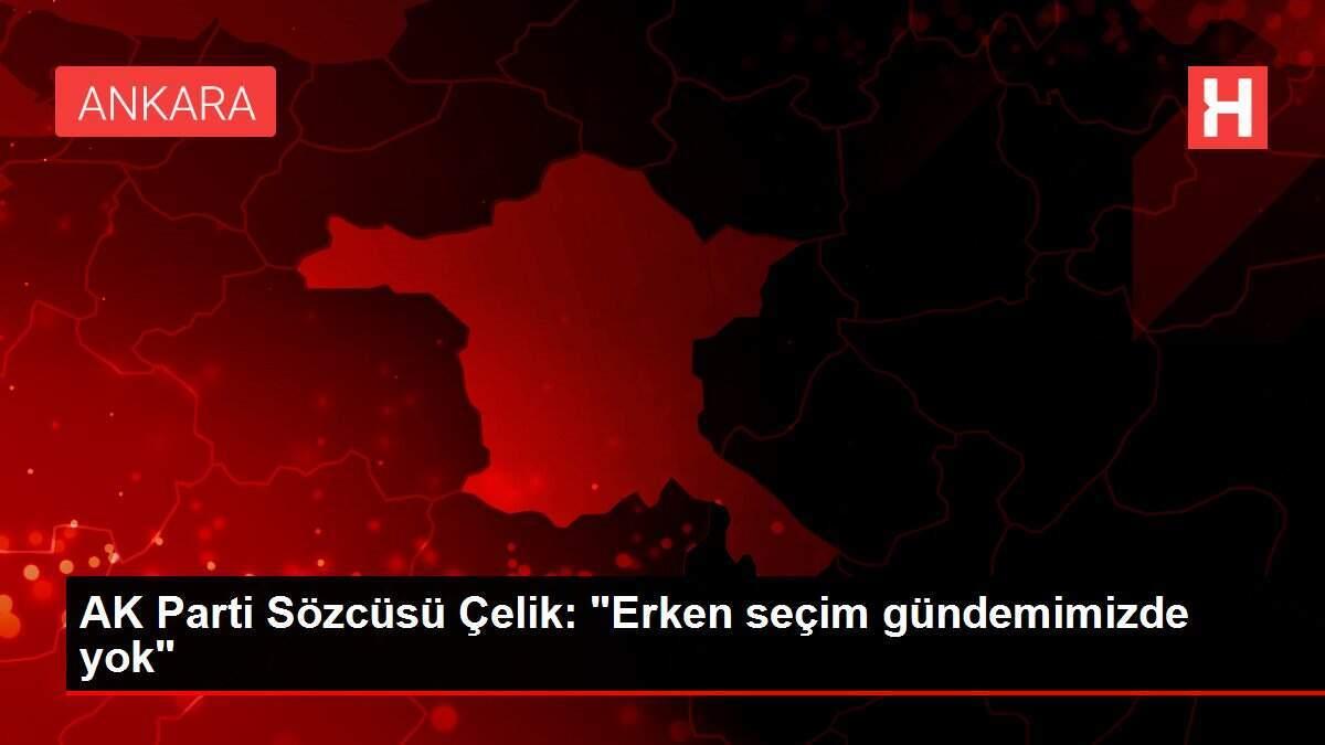 AK Parti Sözcüsü Çelik: