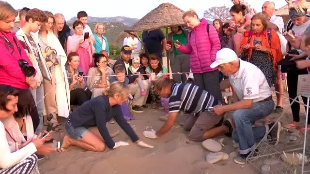 Antalya çıralı'dan 3 bin 640 yavru caretta caretta denizle buluştu Antalya çıralı'dan 3 bin 640 yavru caretta caretta denizle buluştu