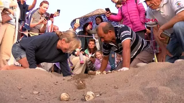 Antalya çıralı'dan 3 bin 640 yavru caretta caretta denizle buluştu Antalya çıralı'dan 3 bin 640 yavru caretta caretta denizle buluştu