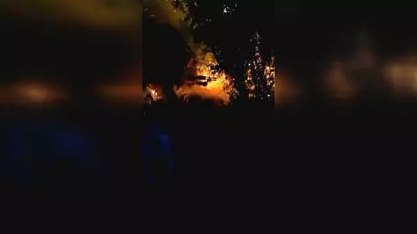 Beykoz'da orman yangını(1)