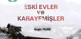 Hayat Ağacı: 'Eski Evler Karayemişler' Altın Safran'da 1527 film arasından finalist oldu! Hayat Ağacı: 'Eski Evler Karayemişler' Altın Safran'da 1527 film arasından finalist oldu!