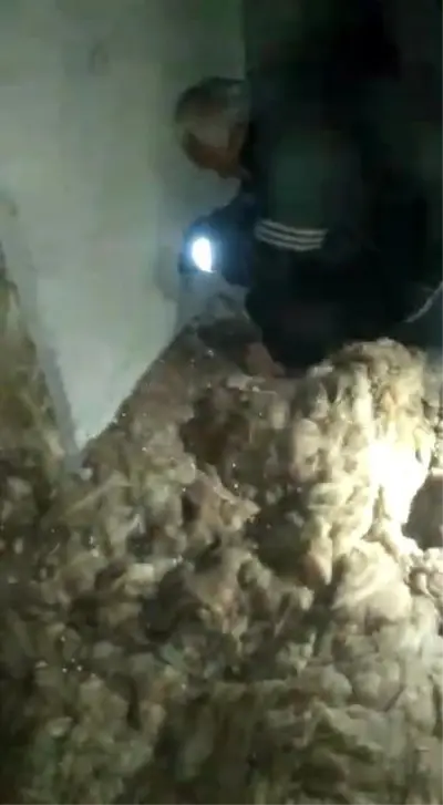 Havalandırma boşluğundaki kediyi duvarı kırarak kurtardılar