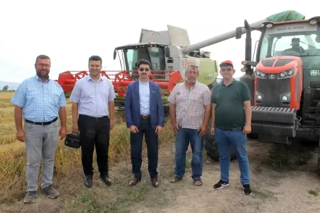 Kaymakam Kaya çeltik hasadına katıldı
