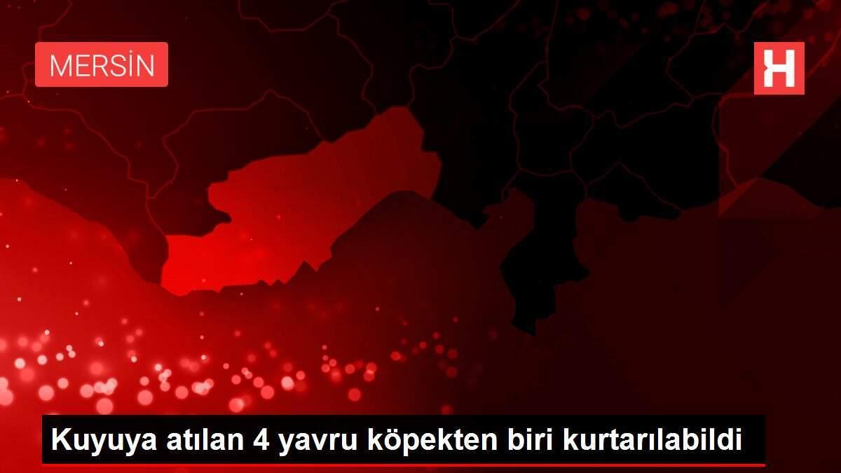 Kuyuya atılan 4 yavru köpekten biri kurtarılabildi