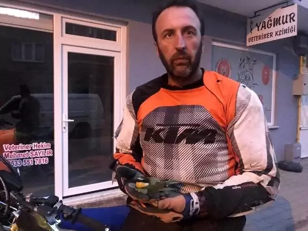 Şampiyon motosikletçinin yaralı bulduğu arı kuşuna tedavi