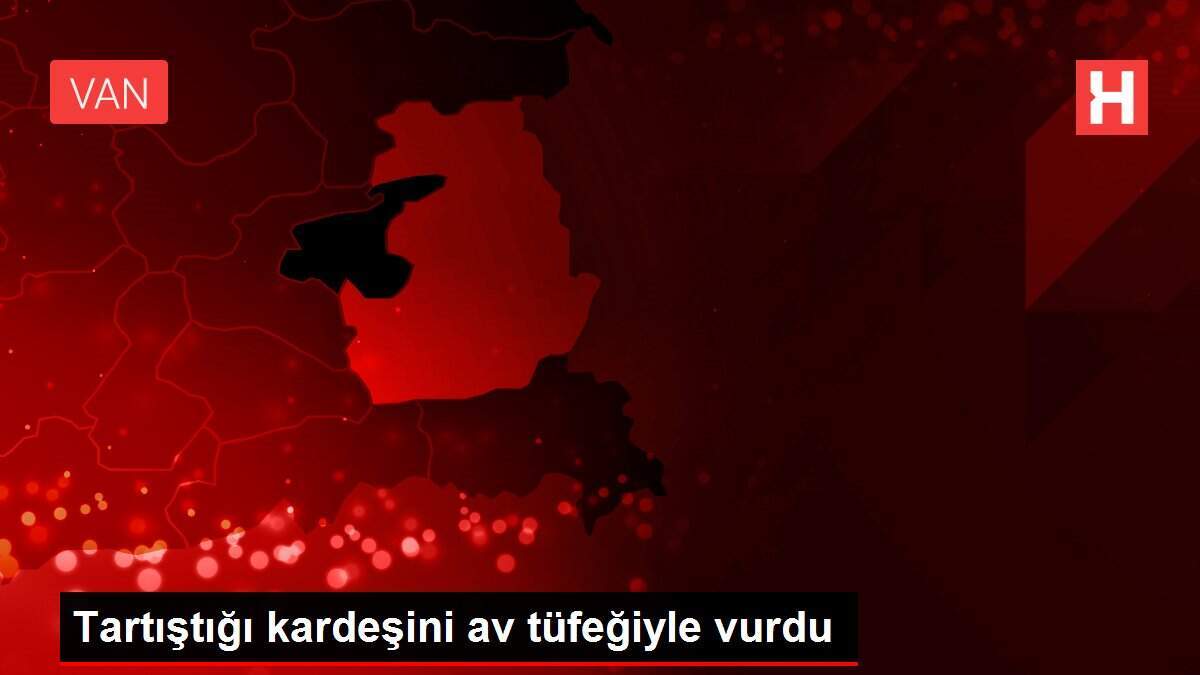Tartıştığı kardeşini av tüfeğiyle vurdu