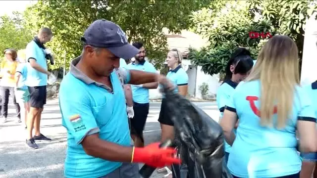 Yabancı ve türk rehberler 'çöp' topladı
