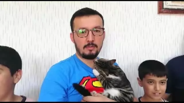 Yaralı kedi yavrusu yürüteçle hayata tutundu Yaralı kedi yavrusu yürüteçle hayata tutundu