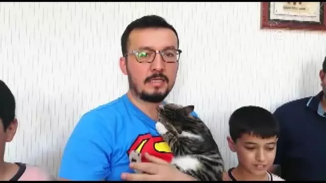 Yaralı kedi yavrusu yürüteçle hayata tutundu Yaralı kedi yavrusu yürüteçle hayata tutundu