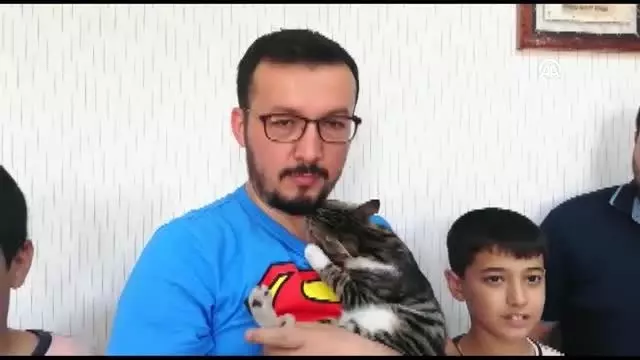 Yaralı kedi yavrusu yürüteçle hayata tutundu Yaralı kedi yavrusu yürüteçle hayata tutundu