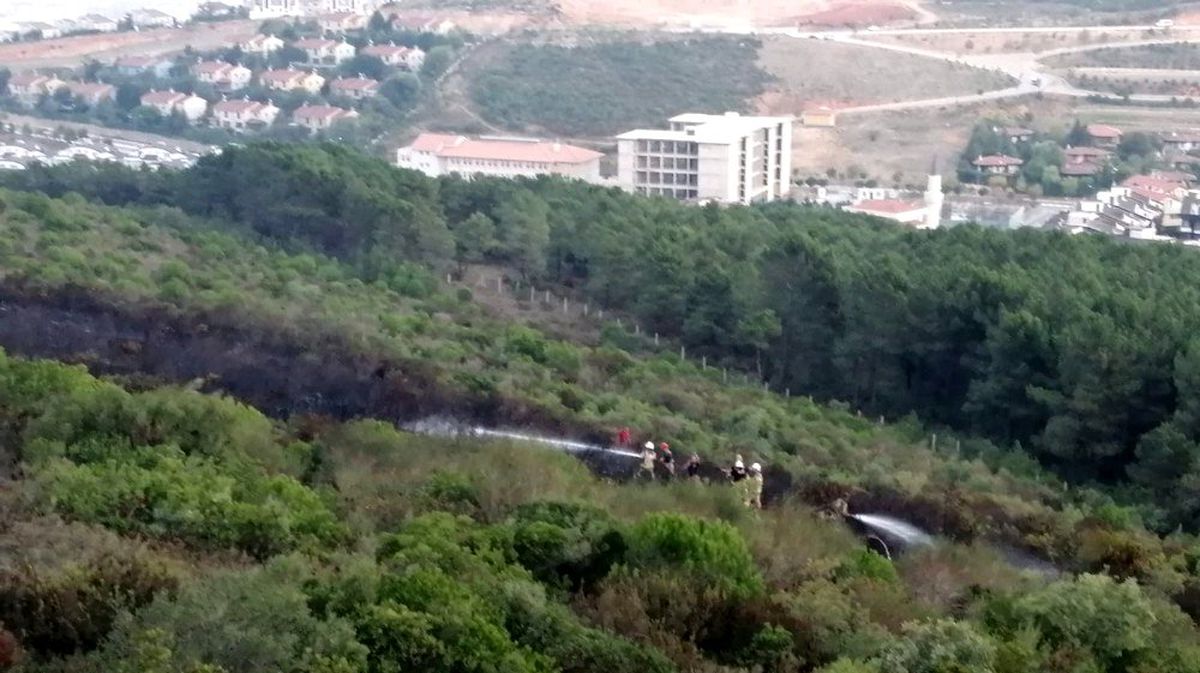 Aydos Ormanı'nda yangın çıktı, itfaiye ekiplerinin müdahalesiyle kontrol altına alındı