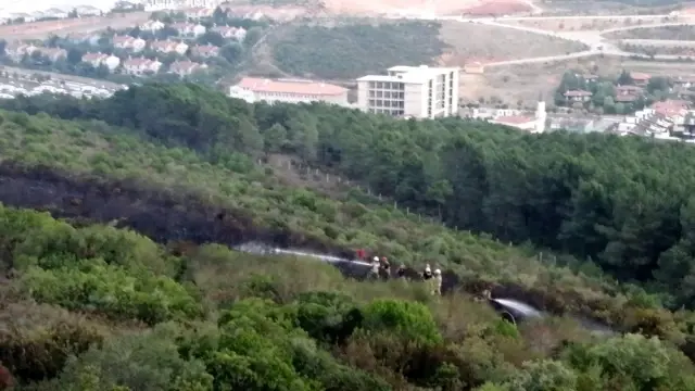 Aydos Ormanı'nda yangın çıktı, itfaiye ekiplerinin müdahalesiyle kontrol altına alındı