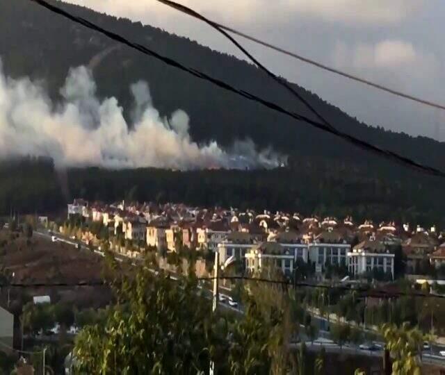 Aydos Ormanı'nda yangın çıktı, itfaiye müdahale ediyor
