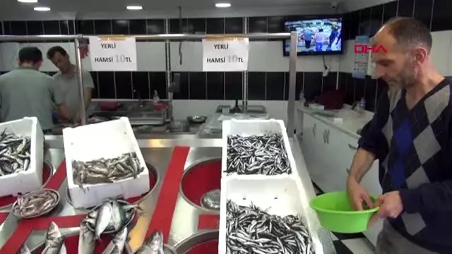 Balıkçılardan 'denizlerde av yasağı süresi' değerlendirmesi Balıkçılardan 'denizlerde av yasağı süresi' değerlendirmesi
