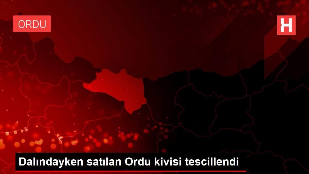 Dalındayken satılan Ordu kivisi tescillendi