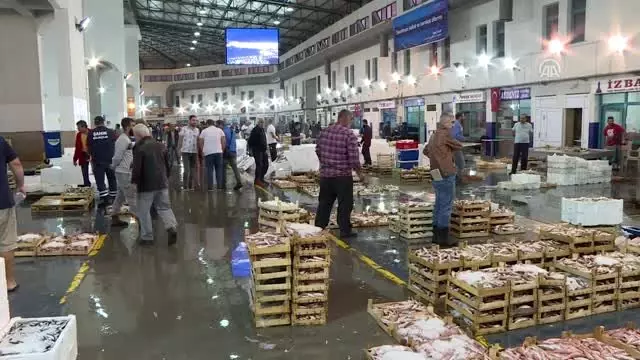 Ege'de balık bereketi