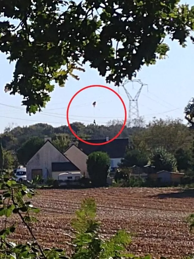 F-16 pilotu, akım tellerinde asılı kaldı