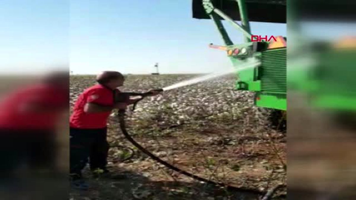 Şanlıurfa alev alan biçer de 5 ton pamuk kül oldu