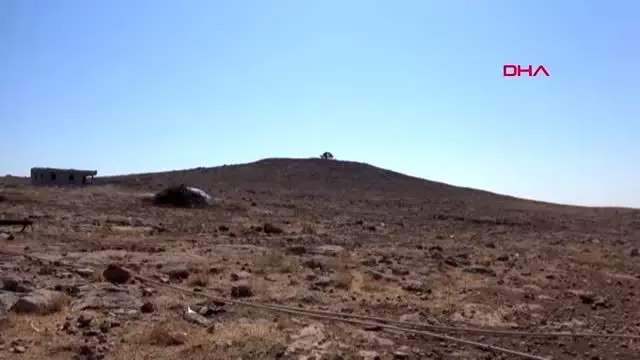 Şanlıurfa'da 2 bin yıllık zeytin ağacı her yıl zeytin vermeye devam ediyor Şanlıurfa'da 2 bin yıllık zeytin ağacı her yıl zeytin vermeye devam ediyor