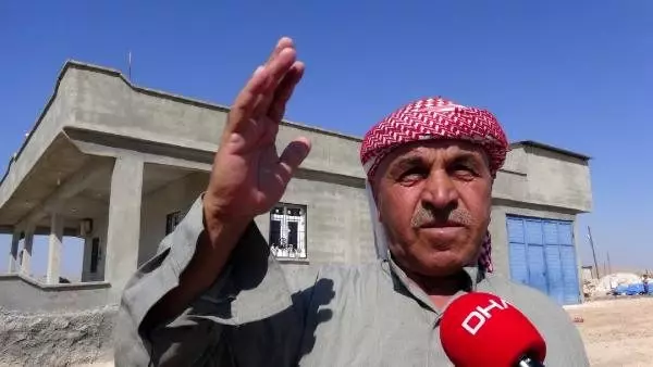 Şanlıurfa'da 2 bin yıllık zeytin ağacı her yıl zeytin vermeye devam ediyor Şanlıurfa'da 2 bin yıllık zeytin ağacı her yıl zeytin vermeye devam ediyor