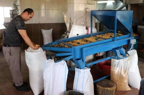 Serinhisar, çorum'a bile leblebi satıyor Serinhisar, çorum'a bile leblebi satıyor