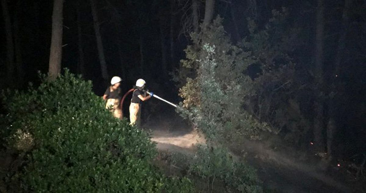 Ümraniye'de 3 noktada şüpheli orman yangını; kısa sürede söndürüldü