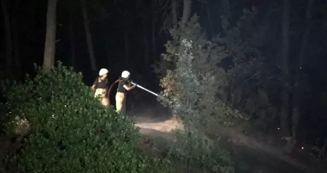 Ümraniye'de 3 noktada şüpheli orman yangını; kısa sürede söndürüldü
