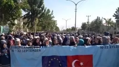Van'da 'Avrupa Hareketlilik Haftası' etkinliği Van'da 'Avrupa Hareketlilik Haftası' etkinliği