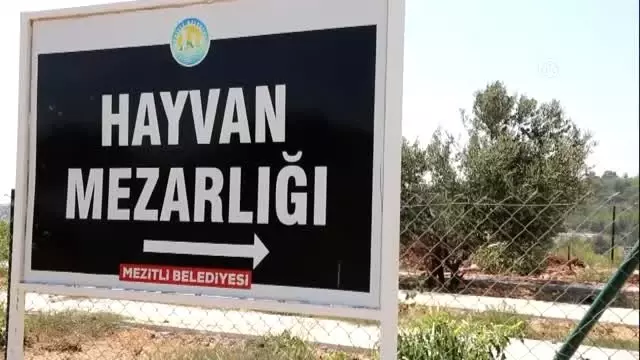 Yitirdikleri