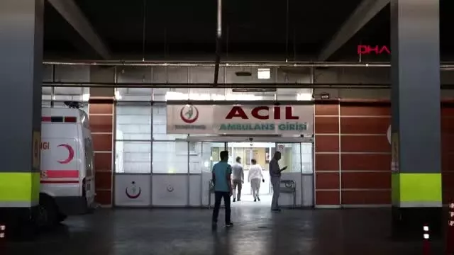 Erzurum ayı dehşeti: 1 ölü, 2 yaralı