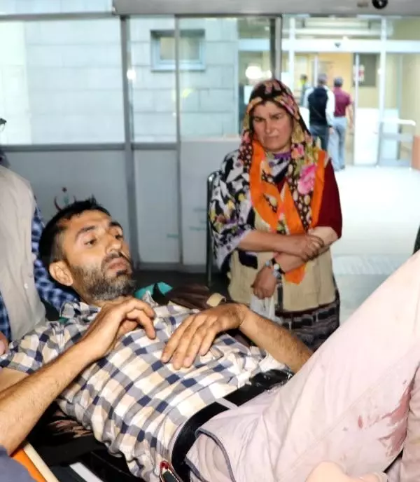Erzurum'da ayı saldırısı: 1 ölü, 2 yaralı
