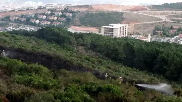 İstanbul'da ormanı kundaklayan kişi kameralara yakalandı! Polis, şahsı gözaltına aldı