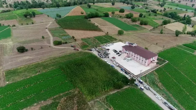 Kenevir tohumu üretimi 2023'te 150 tona çıkacak Kenevir tohumu üretimi 2023'te 150 tona çıkacak