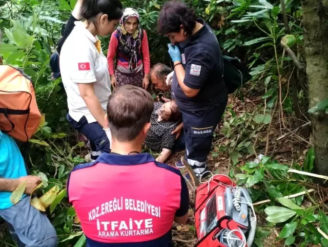 Kestane toplamaya gitti, yaban arısı saldırısına uğradı