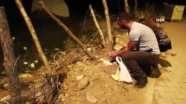 Tilkiyle dost oldu, her gün eliyle besliyor Tilkiyle dost oldu, her gün eliyle besliyor