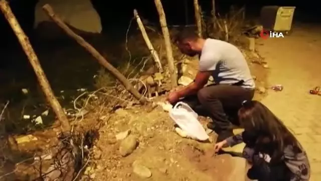 Tilkiyle dost oldu, her gün eliyle besliyor Tilkiyle dost oldu, her gün eliyle besliyor