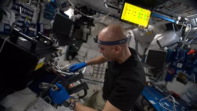 Uzay günlükleri: Uzay İstasyonu'nda astronotlar kendi deneylerine denek oluyor Uzay günlükleri: Uzay İstasyonu'nda astronotlar kendi deneylerine denek oluyor