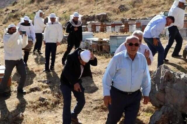 Verimli bal sezonu için şükür duasında arılar saldırdı