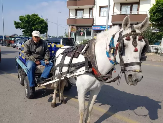 At arabaları nakliyecilere yenik düştü At arabaları nakliyecilere yenik düştü