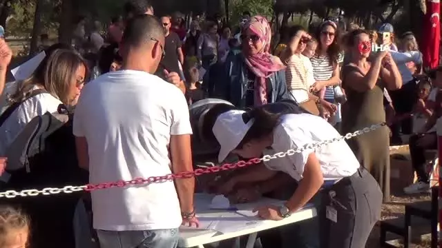 Atla gelen terapi