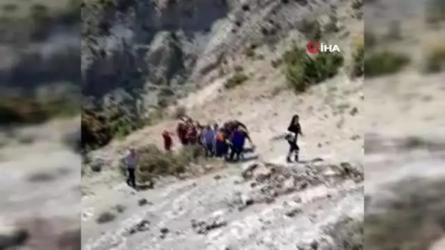 Gümüşhane'de son bir haftada 5 kişi ceviz ağacından düşerek ağır yaralandı