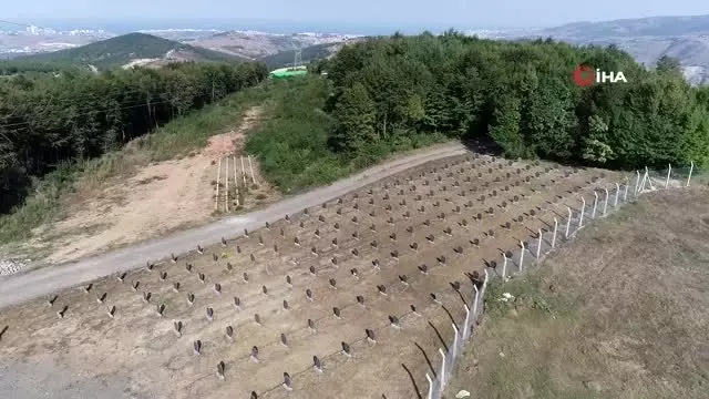 'Hayvan Mezarlığı' ile halk sağlığı korunmaya çalışılıyor.